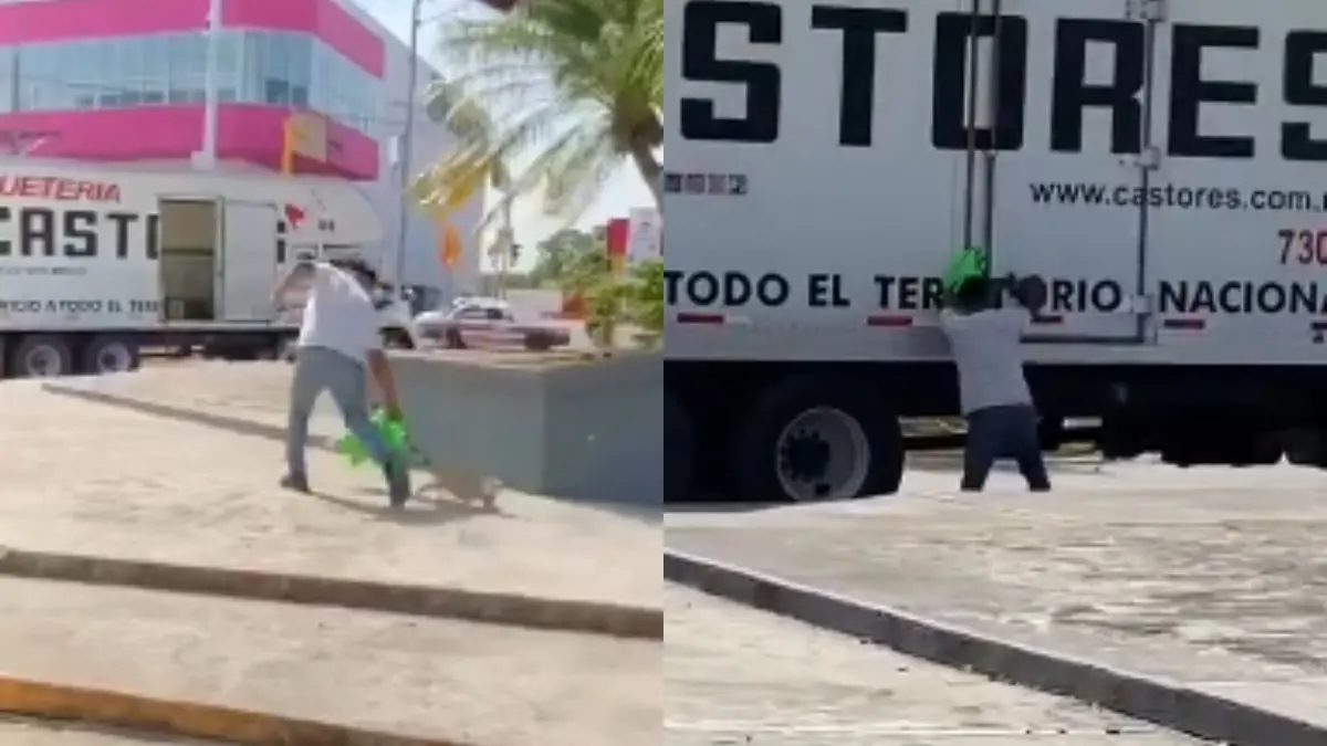 VIDEO | Captan a un hombre llevándose una iguana de un santuario de Veracruz
