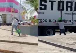 VIDEO | Captan a un hombre llevándose una iguana de un santuario de Veracruz