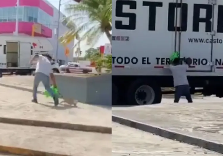 VIDEO | Captan a un hombre llevándose una iguana de un santuario de Veracruz