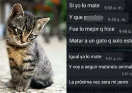 Denuncian en redes sociales a joven por matar a su gato y poner su cadáver como foto de perfil en Ciudad Obregón Denuncian en redes sociales a joven por matar a su gato y poner su cadáver como foto de perfil en Ciudad Obregón
