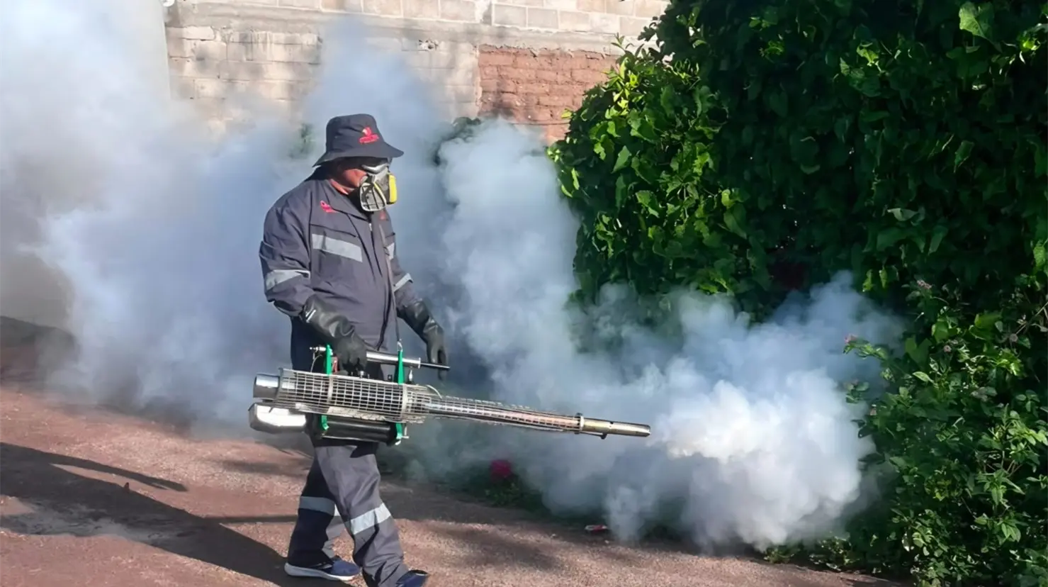Llega Sonora a 999 casos de dengue