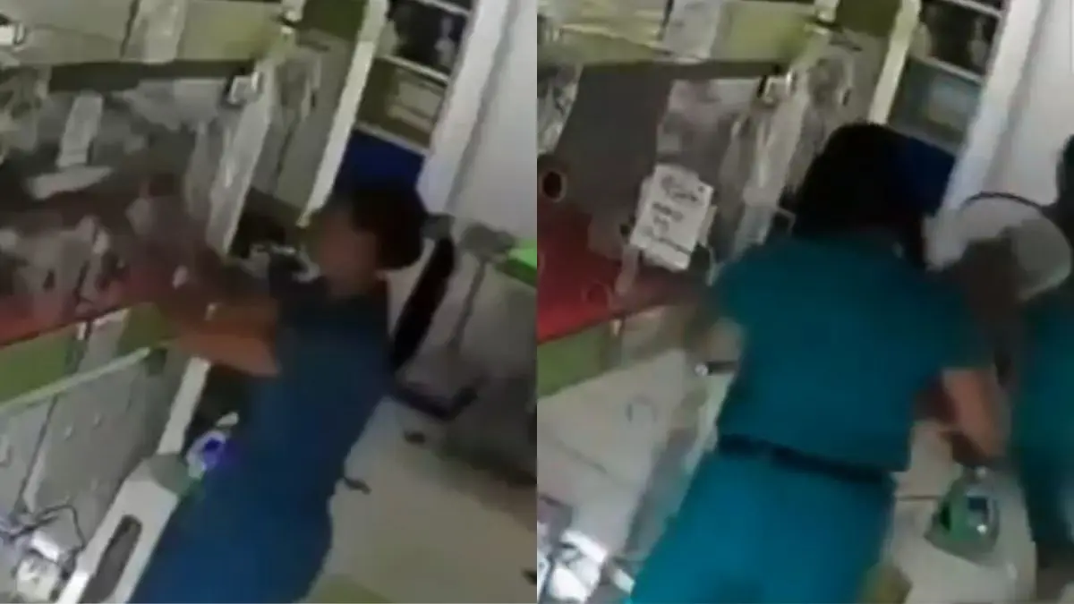 VIDEO | Veterinarios arriesgan todo para evacuar a mascotas durante el terremoto de 7.4 en Colombia