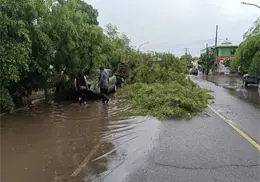 Reportan atención a emergencias por lluvias y fallas en infraestructura hidráulica Reportan atención a emergencias por lluvias y fallas en infraestructura hidráulica
