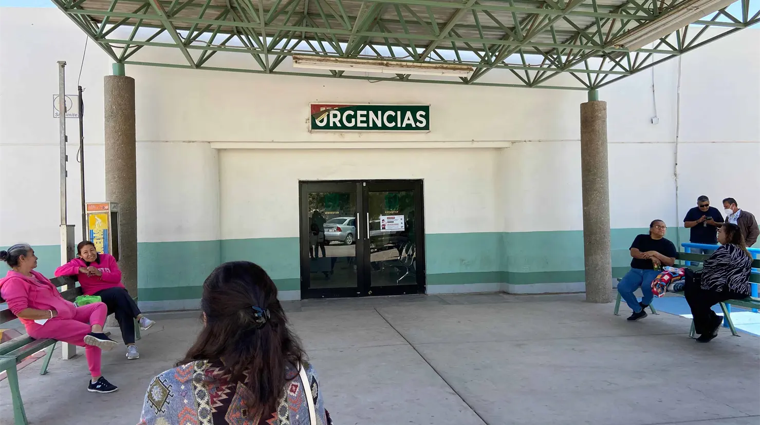 El 50% de los pacientes con rickettsia en Navojoa han perdido la vida