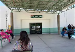 El 50% de los pacientes con rickettsia en Navojoa han perdido la vida