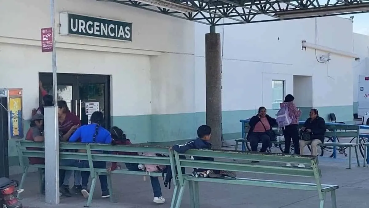 Fallecen la mitad de los casos de rickettsia