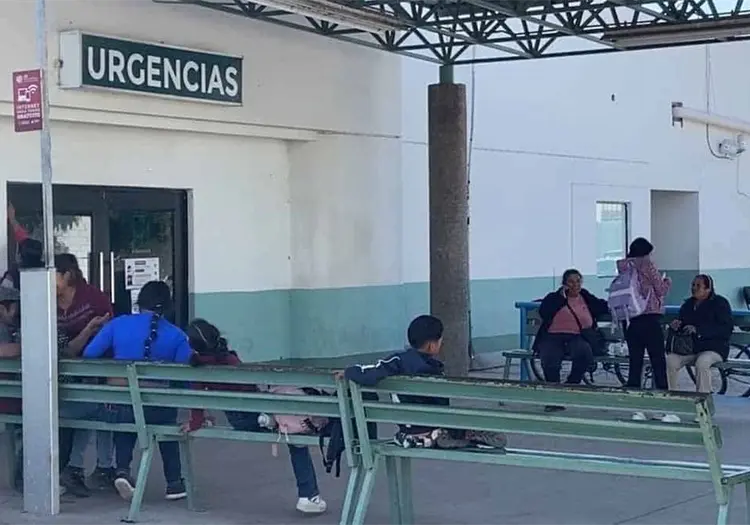 Fallecen la mitad de los casos de rickettsia