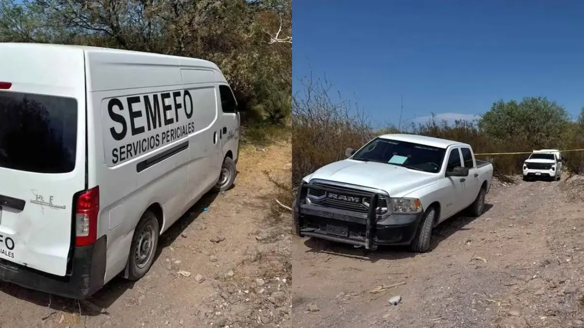 Localizan dos osamentas durante operativo de búsqueda en Mulegé; peritos trabajan para identificar los restos
