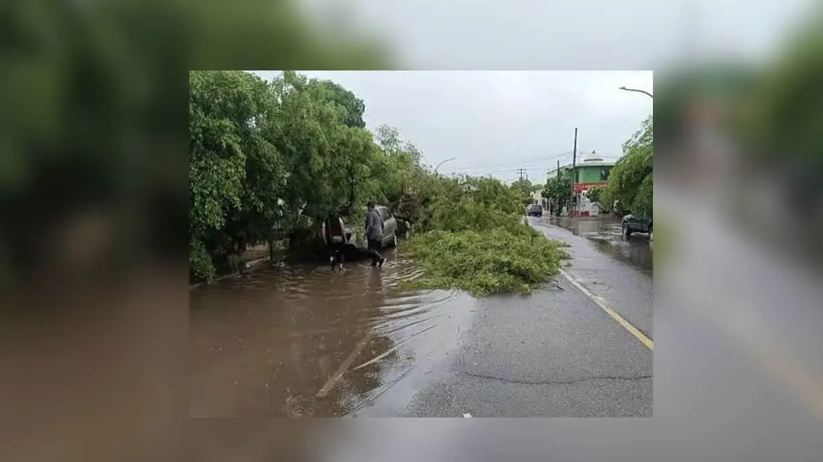 Reportan atención a emergencias por lluvias y fallas en infraestructura hidráulica
