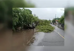 Reportan atención a emergencias por lluvias y fallas en infraestructura hidráulica