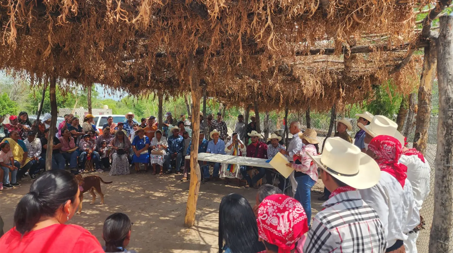 Disputan cargo de gobernador en Conicárit, uno de los ocho pueblos mayos