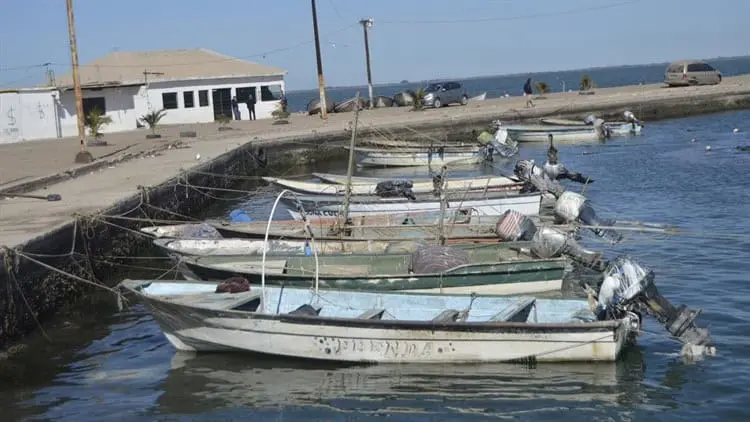 Buscan ampararse en el sur de Sonora ante altos costos de permisos de pesca