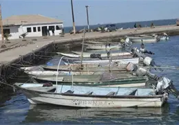 Buscan ampararse en el sur de Sonora ante altos costos de permisos de pesca