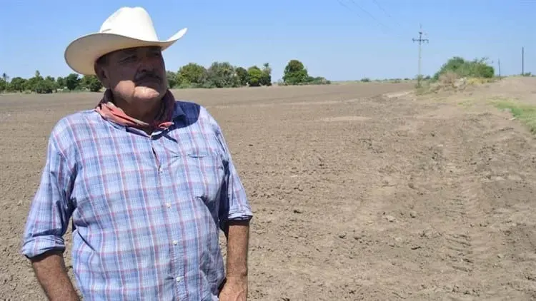 Jornaleros del sur de Sonora claman apoyos