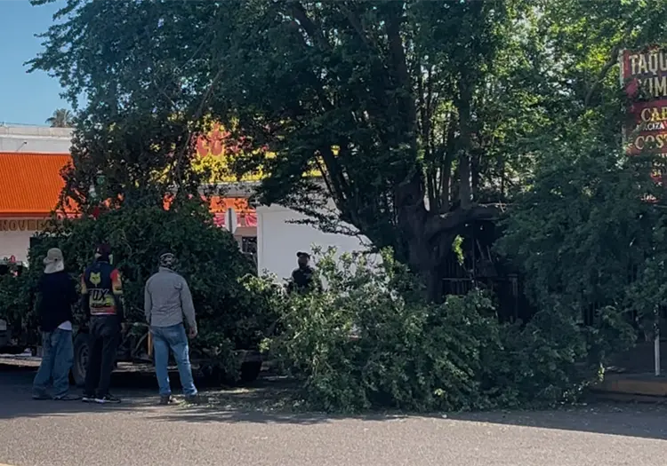 Continúa atención de daños por el temporal