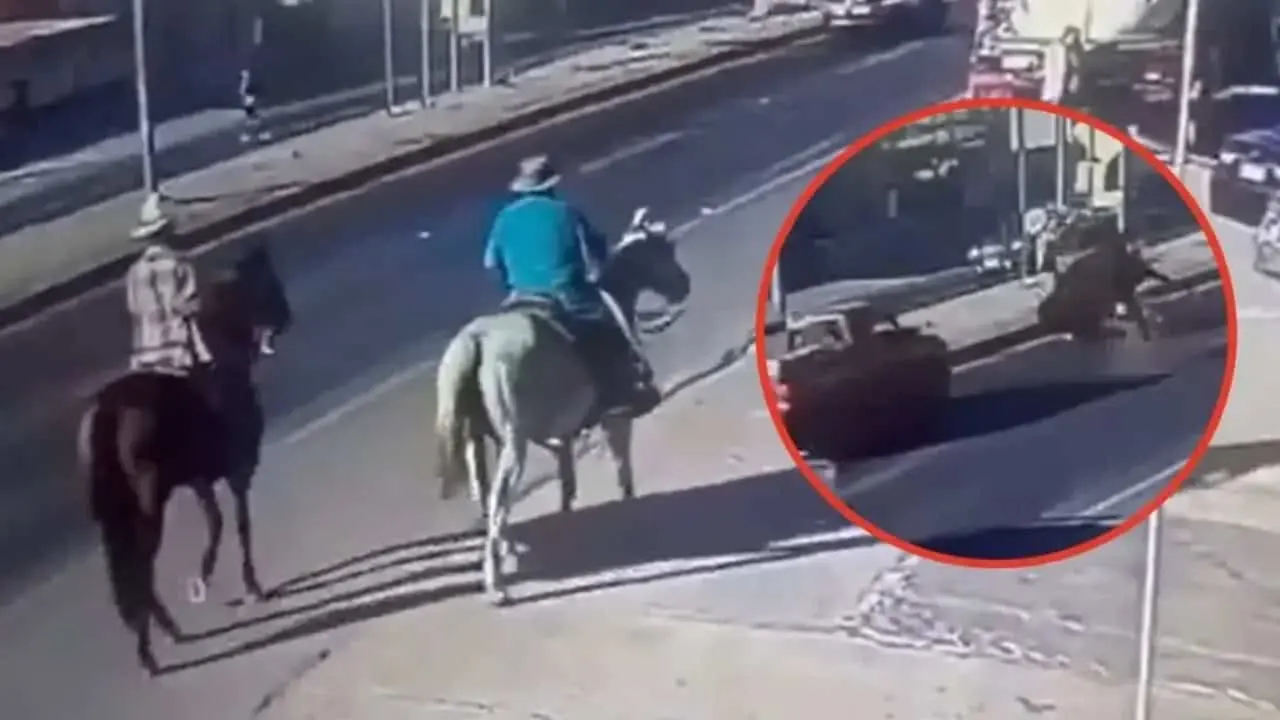 El Equino se pudo levantar y salir huyendo del lugar.