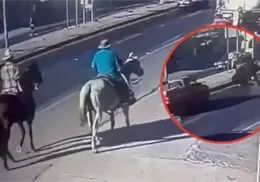 Caballo causa accidente en carretera Tecate-Tijuana - VIDEO