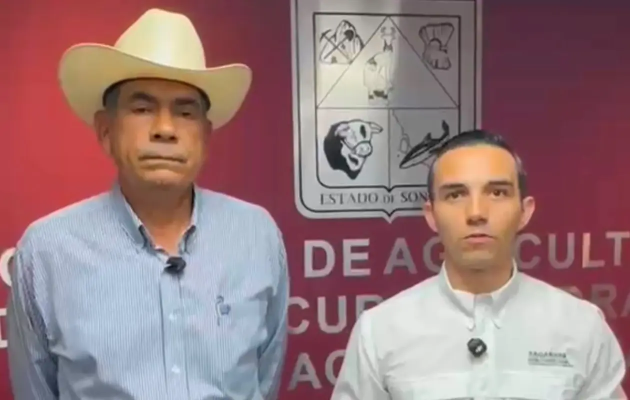 Sonora activa operativo sanitario tras detectar gusano barrenador en Álamos
