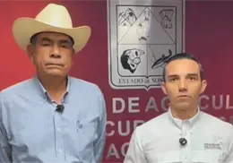 Sonora activa operativo sanitario tras detectar gusano barrenador en Álamos Sonora activa operativo sanitario tras detectar gusano barrenador en Álamos