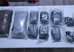 Pasarán más de 8 años en la cárcel por traficar opio en Sonora