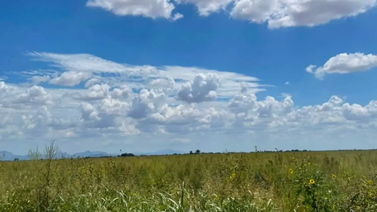 Clima en Sonora hoy, 21 de agosto: ¿Seguirá el calor o regresarán las lluvias?
