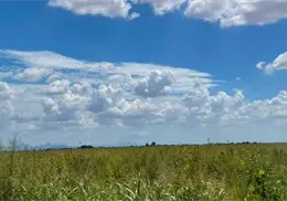 Clima en Sonora hoy, 21 de agosto: ¿Seguirá el calor o regresarán las lluvias?