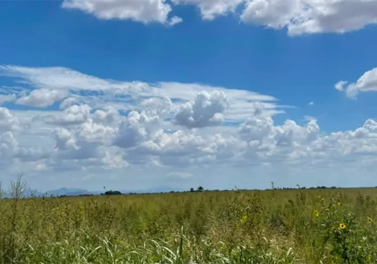 Clima en Sonora hoy, 21 de agosto: ¿Seguirá el calor o regresarán las lluvias?