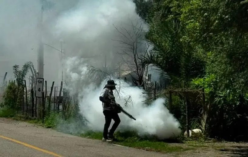 Suma Sonora 34 nuevos casos de dengue