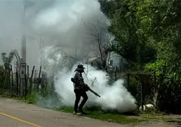 Suma Sonora 34 nuevos casos de dengue