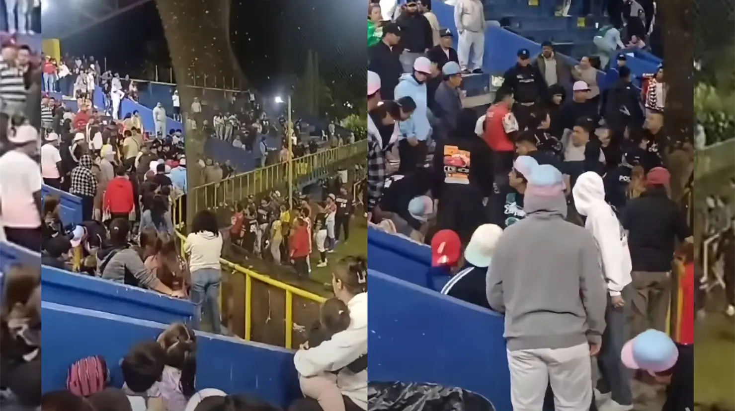 Pelea en estadio de beisbol de Veracruz deja tres heridos tras disparos de policías | VIDEO