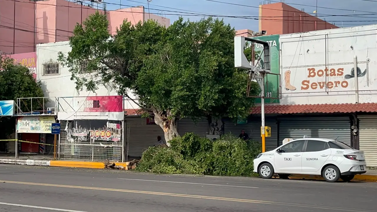 Busca Imagen Urbana agilizar atención por lluvias