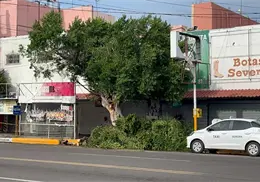 Busca Imagen Urbana agilizar atención por lluvias