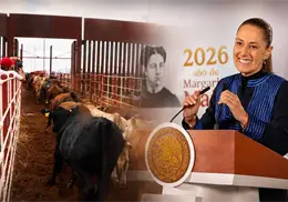 Sheinbaum: “Cierre de frontera, también afectó la economía de Estados Unidos”