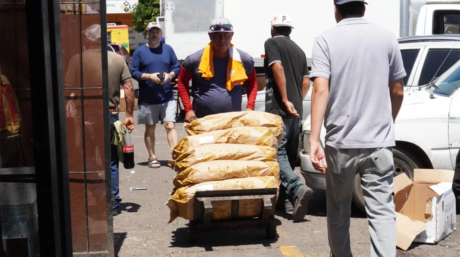 La baja en el sector agrícola pudo estar influida por el término de ciclos de cultivos en la región