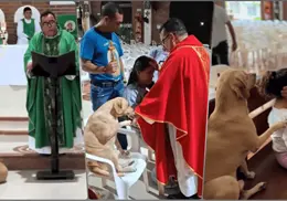 VIDEO | El monaguillo de cuatro patas: Perrito interrumpe misa, conmoviendo las redes