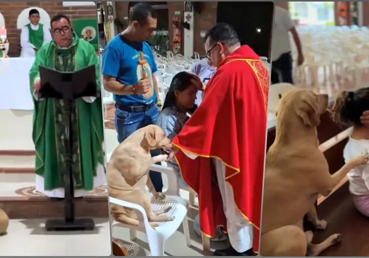 VIDEO | El monaguillo de cuatro patas: Perrito interrumpe misa, conmoviendo las redes