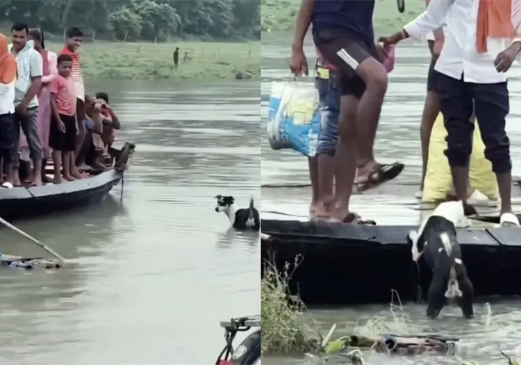 VIDEO | Personas no dejan que un perrito suba a una lancha durante una inundación