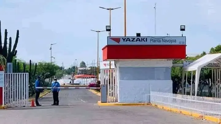 Recortan a 47 trabajadores de Yazaki Navojoa