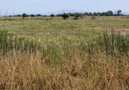 Llama Cemac a innovar ante la crisis agrícola
