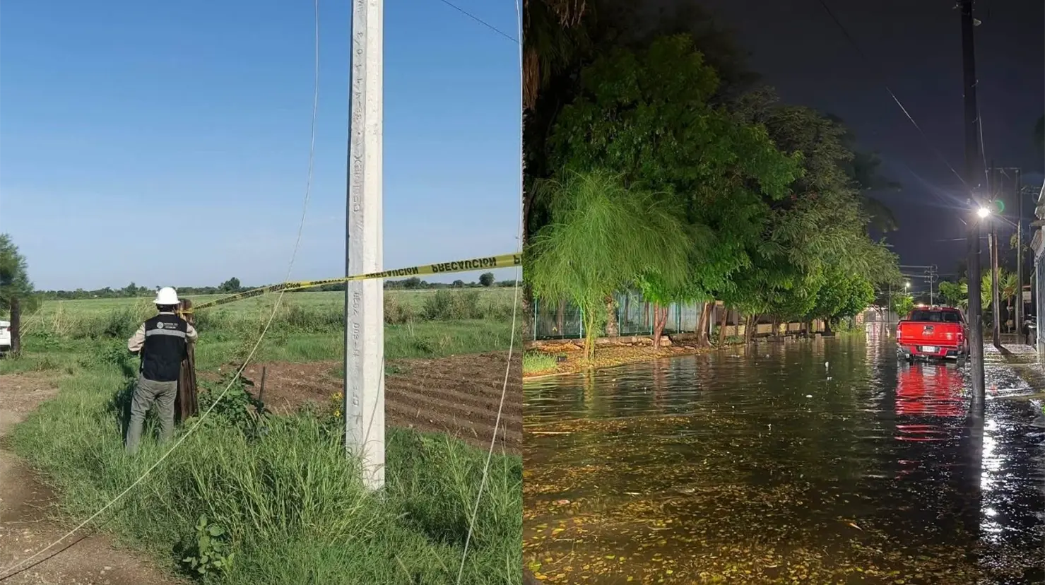 Cajeme concentra afectaciones por lluvias en Sonora; reportan postes y árboles caídos