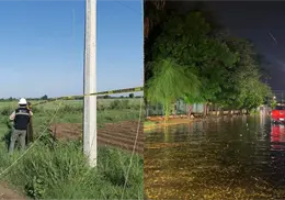 Cajeme concentra afectaciones por lluvias en Sonora; reportan postes y árboles caídos
