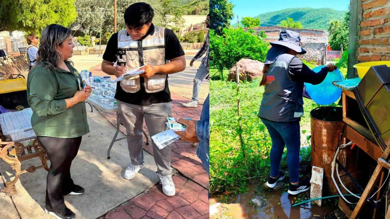 Refuerzan acciones contra el dengue y chikungunya ante el regreso a clases en Sonora