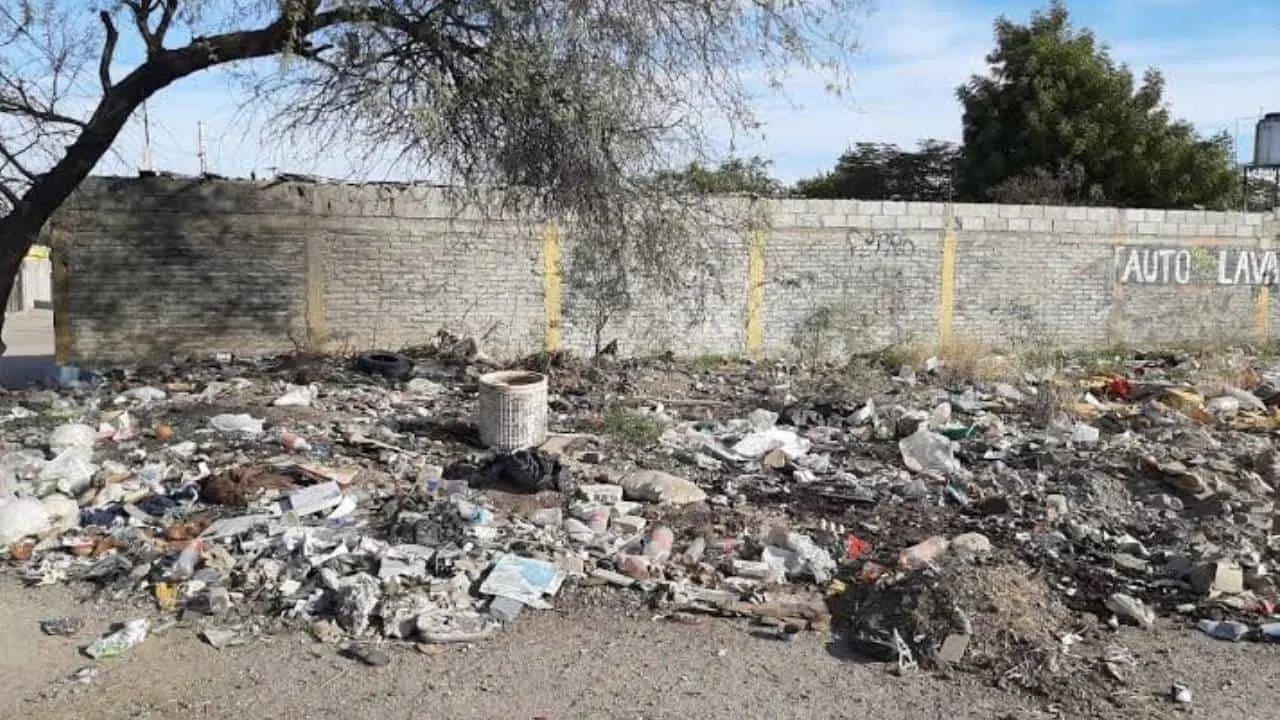 Ayuntamiento de Hermosillo vigilará 329 lotes baldíos