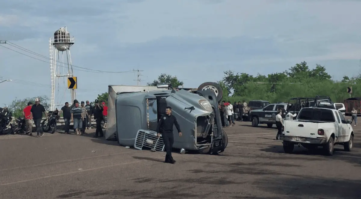 Vuelca tráiler cargado de cerdos en Navojoa
