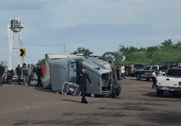 Vuelca tráiler cargado de cerdos en Navojoa