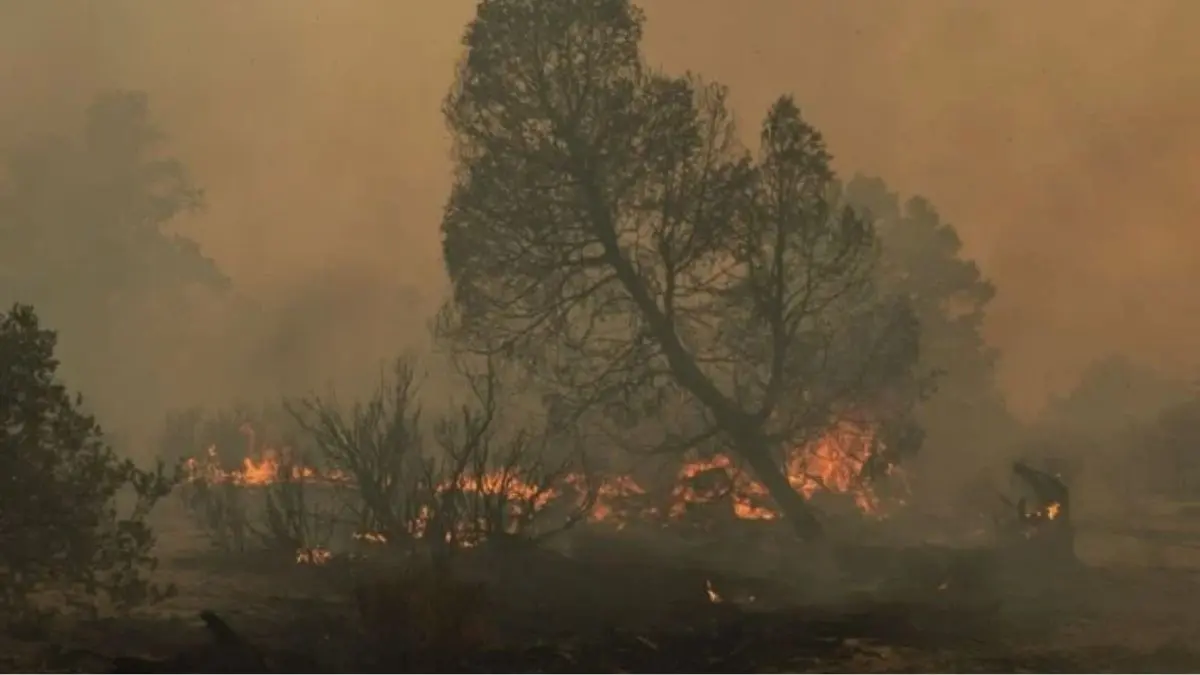 Altas temperaturas disparan incendios de pastizales en Tamaulipas; sensación térmica podría alcanzar los 47 grados