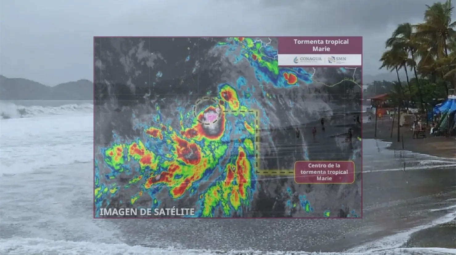 Según el reporte del SMN, Marie se desarrolló a las 03:00 horas de este 1 de septiembre, aproximadamente a 760 kilómetros al suroeste de Manzanillo, Colima