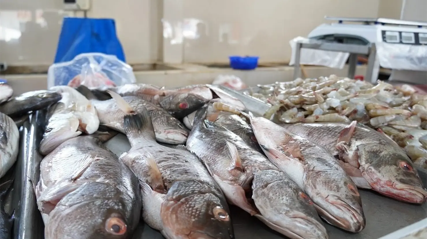 Sigue bajo el surtido de pescados y mariscos en Cajeme