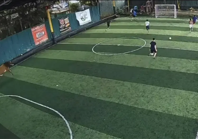 VIDEO | Toro interrumpe partido de futbol y los jugadores huyen de la cancha