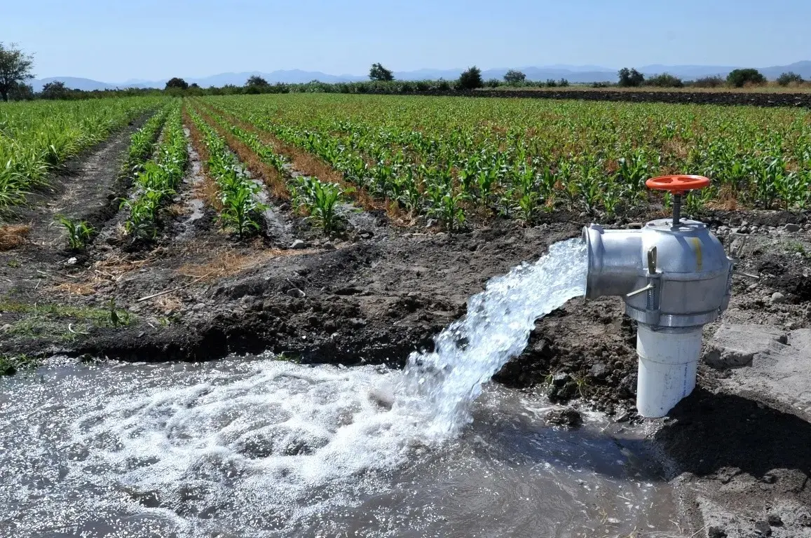 Proponen Universidad Indígena del Agua en la Región del Mayo